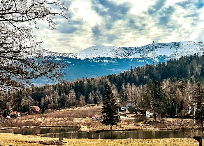 Apartament 600 Npm